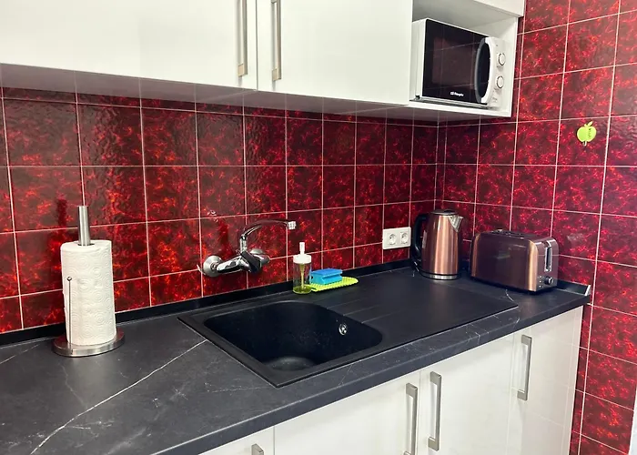 Alina's Nest Apartment *