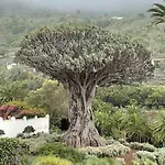 Alina's Nest